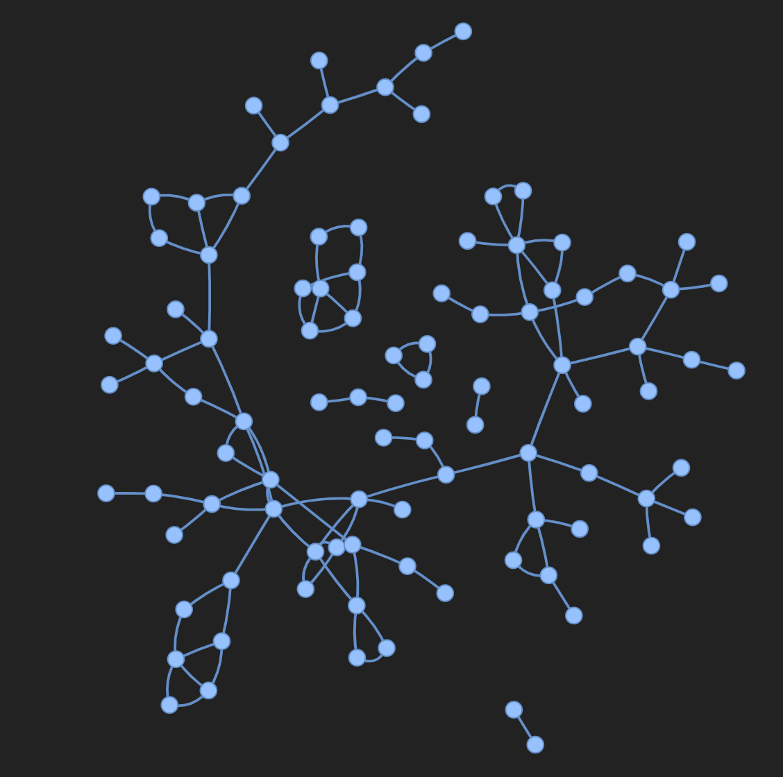 This image shows the input graph as an interactive HTML visualization.