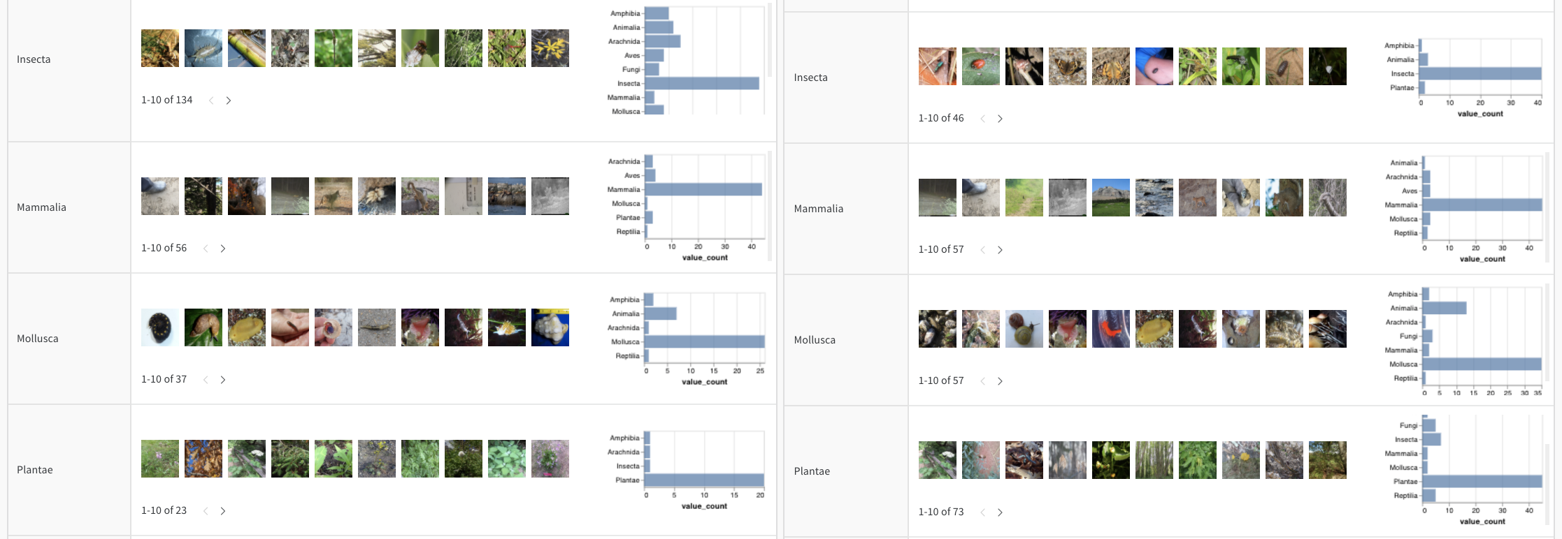 Compare the distribution of true labels across two different models' predictions.